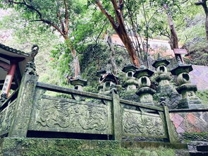 风起长林雁荡山