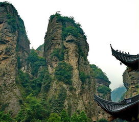 去温州旅游有什么值得去的景区吗