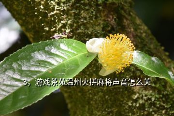 天方茶苑,微信红包充游戏茶苑银子
