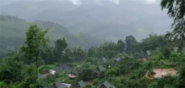 六大茶山历年9月份大事件回顾