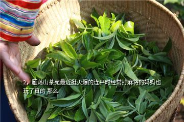 景东茶园图片,茶园里78米高的风车是为了 夏夜增温增湿 或者防春寒 还是放在夏天
