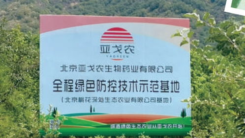 与首都中小企业携手同行