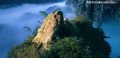 创意农业头条推荐丨乐清这个地方花开得正盛,赏花线路新鲜出炉