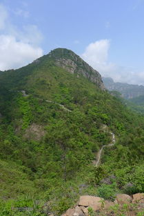 雁荡山狮子山五马尖筋竹涧山林中的健身步道