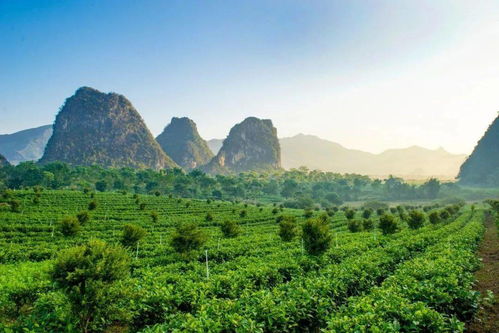 喜讯 英德又一景区将被认定为省示范点,是你的家乡