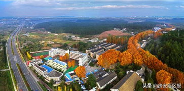 多图预警 贵安的秋,简直美翻了