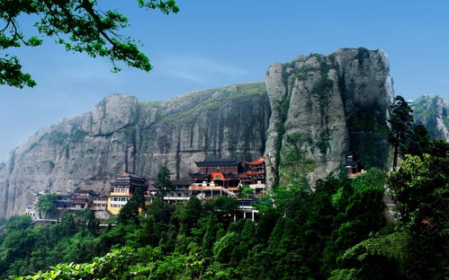 上海进博会 雁楠游大优惠