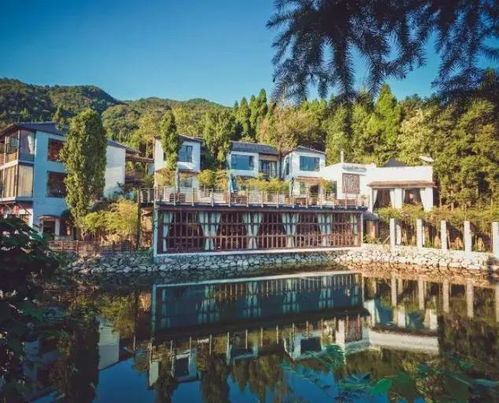 温州周边最值得住的4家绝美民宿,带给你清凉一夏丨南方民宿