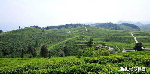 开阳 小 硒 带动大发展