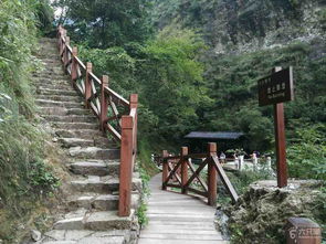 游雁荡山灵岩卧龙谷往右下行