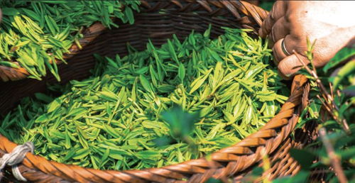 这个台湾帅哥将嘻哈 饮品玩出了新高度,潘西们赶紧去明瓦廊打卡