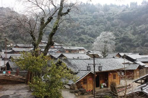 清明节去哪玩 贵州14个地方不错