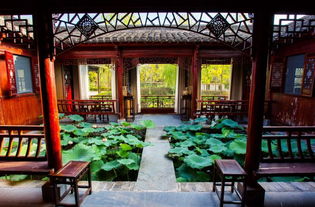 种草必读 | 华中地区超in网红酒店，有颜又有趣·雁荡山茶苑