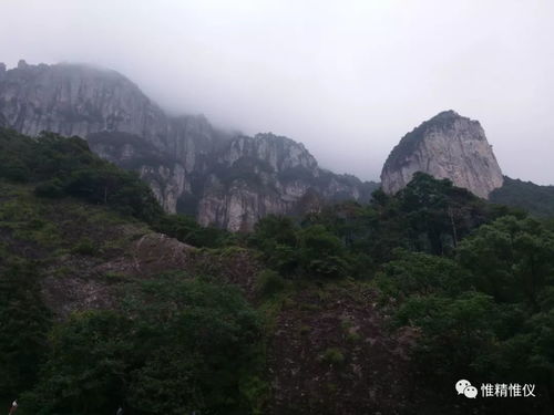 强健体魄，快乐生活——宁德项目队雁荡山徒步之旅与茶苑体验