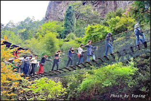 诗画浙江｜楠溪雁荡山，幽谷茶香沁心脾