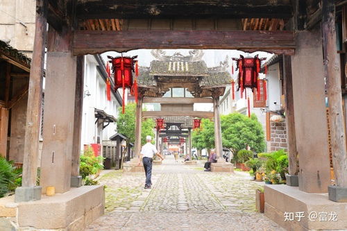 牌楼深处的秘密 雁荡山南阁古村与茶苑的千年印记