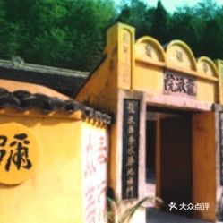 雁荡山茶苑 品味山水间的清雅时光