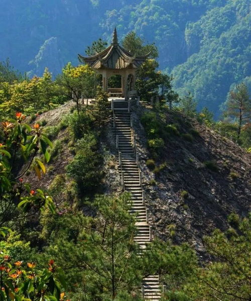 雁荡山茶韵，秦王宫光影——横店雁荡三日游体验
