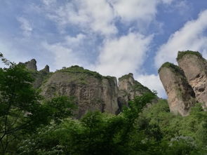 雁荡山茶苑 带着天天看世界，品味温州山水茶韵