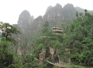 最美的张家界竟然藏在桂林附近？雁荡山茶苑美爆了