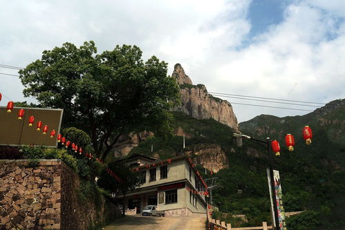 雁荡山游记 茶苑清韵