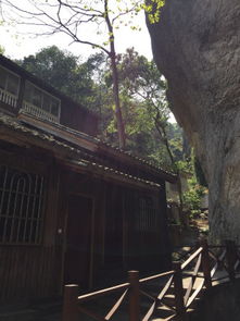 雁荡山森林公园度假名邸与雁荡山茶苑信息指南