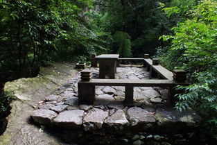 雁荡山之旅 探访雁荡山茶苑的隐逸茶香