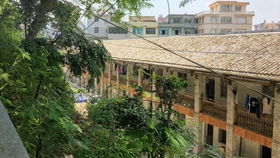 雁荡山骑行之旅 探访雁荡山茶苑