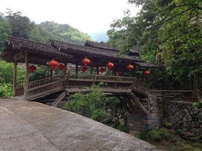 温州雁荡山与楠溪江之行 于雁荡山茶苑品茗自然