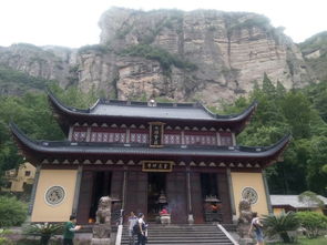 大王叫我来巡山 雁荡武夷三人行，人间至味在茶苑