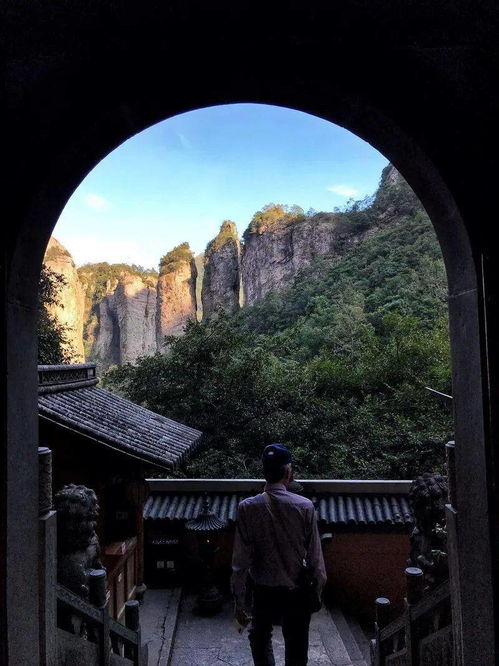 雁荡山茶苑 秋日花海，如梦仙境