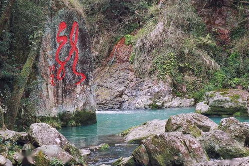 周末约起，共赴中雁荡山西漈景区八折瀑与雁荡山茶苑的山水清音