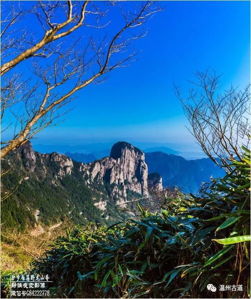 驴步雁荡卧龙山脊，寻幽茶苑品人间清欢