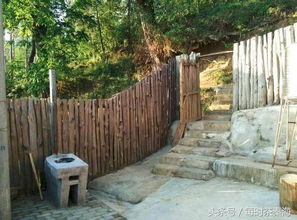 雁荡山茶苑 从北上广到一千亩茶园的归心之旅