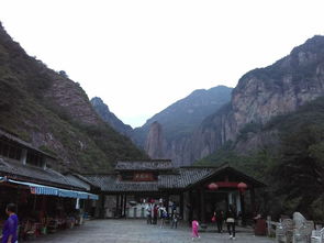 雁荡山茶苑 云雾间的诗与禅