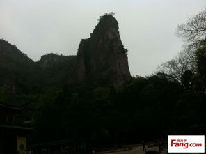 温州雁荡山“风云水舍”业主论坛 山水之间的云端生活聚落