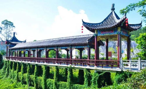 梧州家门口的避暑好去处 在夏日寻得一抹清凉——雁荡山茶苑